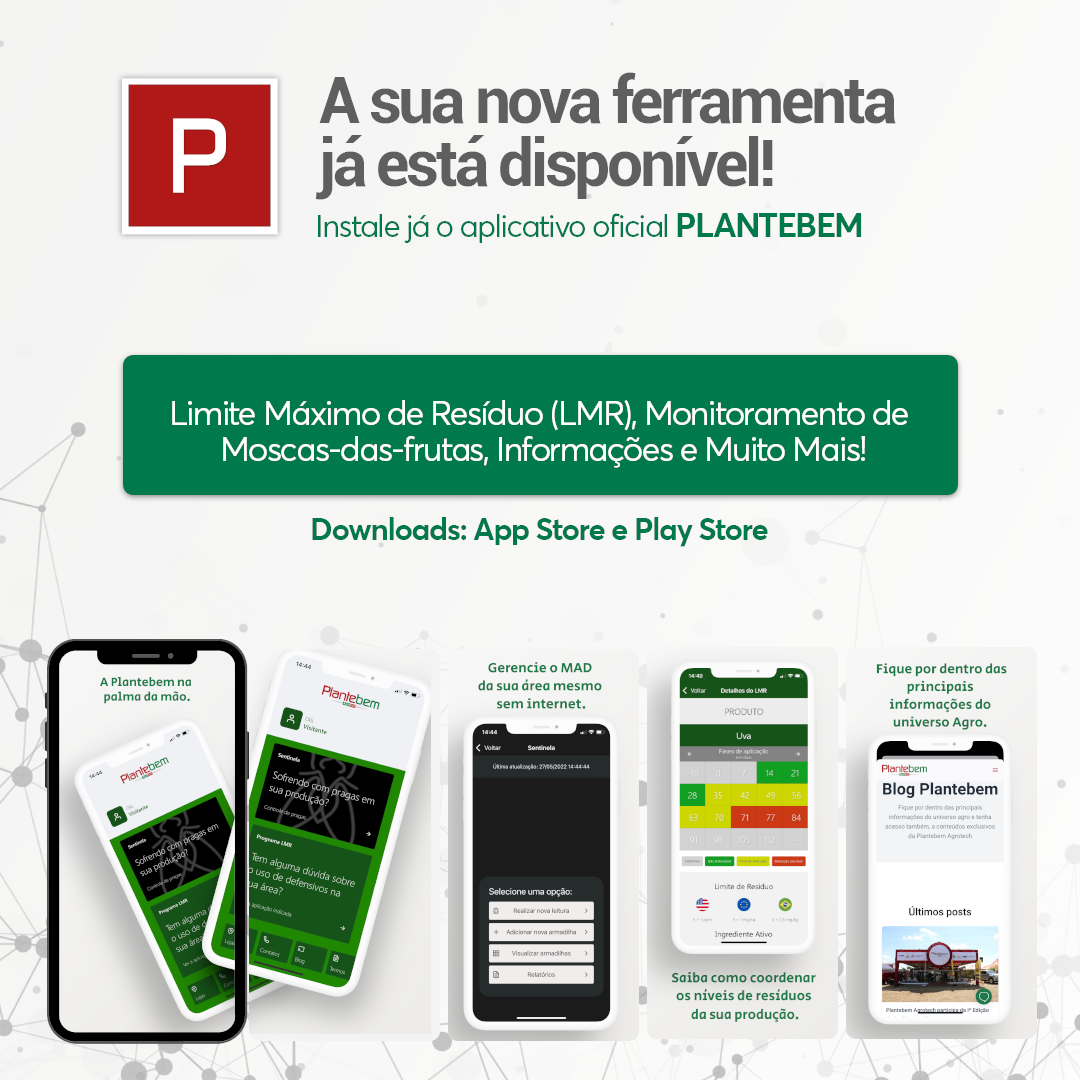 Plantebem lança aplicativo para mercado agrícola